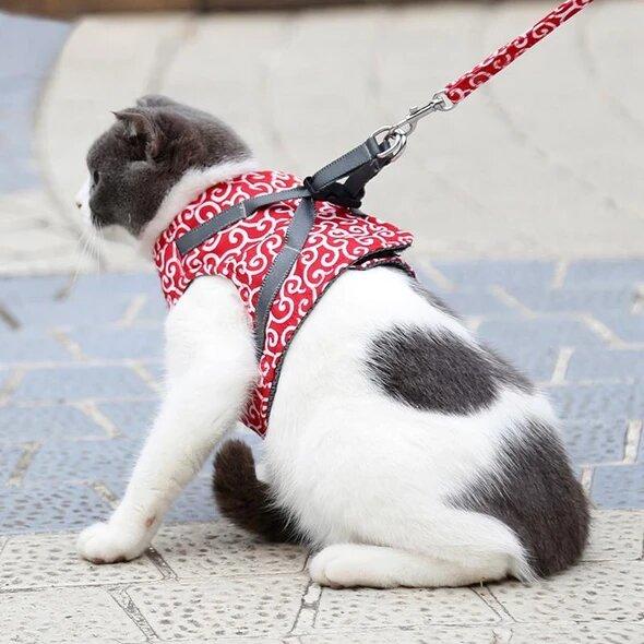 Arnés Chaleco Cómodo para Gatos - Seguro y Duradero